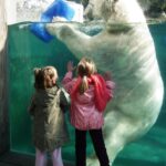 Salaire commercial terrain vs sédentaire : Comparatif détaillé