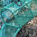 Industrial commercial : Le marché normand en expansion