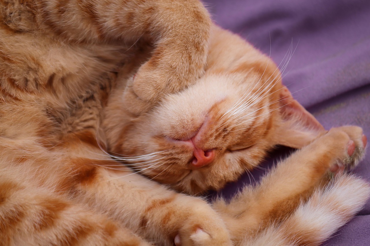 suivez efficacement vos projets et communications avec notre guide complet de suivi. optimisez vos relances et assurez un meilleur suivi de vos actions.