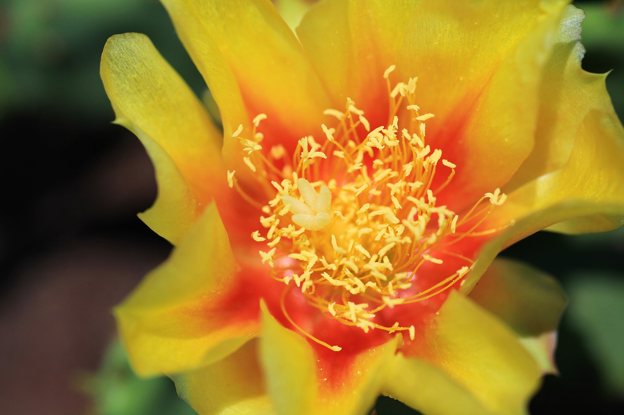 suivi efficace pour assurer la continuité et la réussite de vos projets. découvrez nos conseils et méthodes de follow-up adaptés à vos besoins.