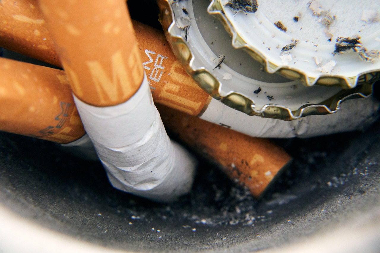 suivi personnalisé pour garantir la continuité et l'efficacité de vos projets.